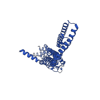 32050_7voj_B_v1-1
Al-bound structure of the AtALMT1 mutant M60A
