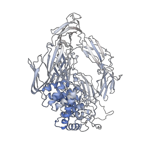 32052_7voo_A_v1-1
Induced alpha-2-macroglobulin monomer