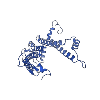 32058_7vor_L_v1-0
The structure of dimeric photosynthetic RC-LH1 supercomplex in Class-1