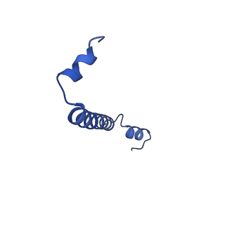32058_7vor_b9_v1-0
The structure of dimeric photosynthetic RC-LH1 supercomplex in Class-1