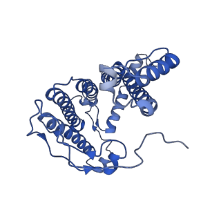 32058_7vor_m_v1-0
The structure of dimeric photosynthetic RC-LH1 supercomplex in Class-1