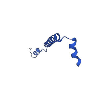 32059_7vot_D_v1-0
The structure of dimeric photosynthetic RC-LH1 supercomplex in Class-2