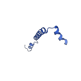 32059_7vot_F_v1-0
The structure of dimeric photosynthetic RC-LH1 supercomplex in Class-2