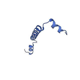 32059_7vot_I_v1-0
The structure of dimeric photosynthetic RC-LH1 supercomplex in Class-2