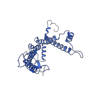 32059_7vot_L_v1-0
The structure of dimeric photosynthetic RC-LH1 supercomplex in Class-2
