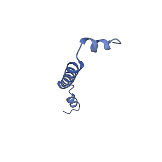 32059_7vot_O_v1-0
The structure of dimeric photosynthetic RC-LH1 supercomplex in Class-2