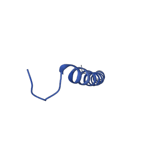 32059_7vot_b0_v1-0
The structure of dimeric photosynthetic RC-LH1 supercomplex in Class-2