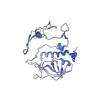 32059_7vot_h_v1-0
The structure of dimeric photosynthetic RC-LH1 supercomplex in Class-2