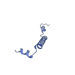 32059_7vot_k_v1-0
The structure of dimeric photosynthetic RC-LH1 supercomplex in Class-2