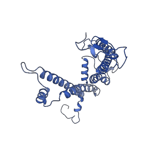 32059_7vot_l_v1-0
The structure of dimeric photosynthetic RC-LH1 supercomplex in Class-2