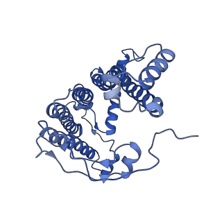 32059_7vot_m_v1-0
The structure of dimeric photosynthetic RC-LH1 supercomplex in Class-2