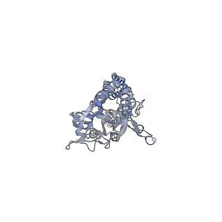 8721_5vot_B_v1-6
Structure of AMPA receptor-TARP complex