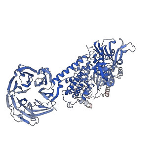 21250_6vp6_A_v1-2
Cryo-EM structure of the C-terminal half of the Parkinson's Disease-linked protein Leucine Rich Repeat Kinase 2 (LRRK2)