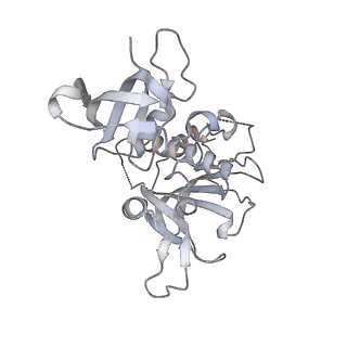 21250_6vp6_B_v1-2
Cryo-EM structure of the C-terminal half of the Parkinson's Disease-linked protein Leucine Rich Repeat Kinase 2 (LRRK2)
