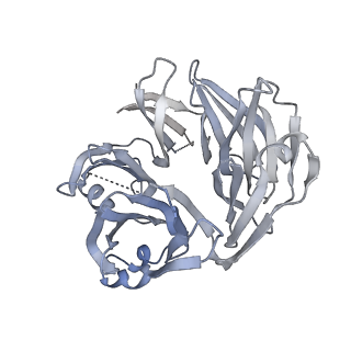 21250_6vp6_C_v1-2
Cryo-EM structure of the C-terminal half of the Parkinson's Disease-linked protein Leucine Rich Repeat Kinase 2 (LRRK2)