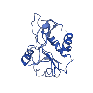 21307_6vp9_A_v1-0
Cryo-EM structure of human NatB complex