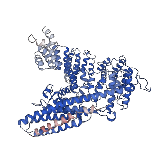 21307_6vp9_B_v1-0
Cryo-EM structure of human NatB complex