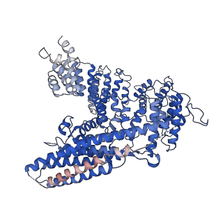 21307_6vp9_B_v1-1
Cryo-EM structure of human NatB complex