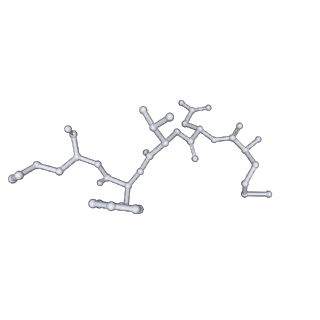 21307_6vp9_C_v1-1
Cryo-EM structure of human NatB complex