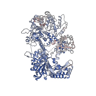 21308_6vpc_B_v1-2
Structure of the SpCas9 DNA adenine base editor - ABE8e