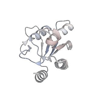 21308_6vpc_E_v1-1
Structure of the SpCas9 DNA adenine base editor - ABE8e