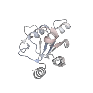 21308_6vpc_E_v1-2
Structure of the SpCas9 DNA adenine base editor - ABE8e