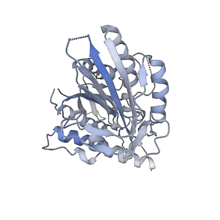 21314_6vpo_C_v1-0
Cryo-EM structure of microtubule-bound KLP61F motor domain in the AMPPNP state