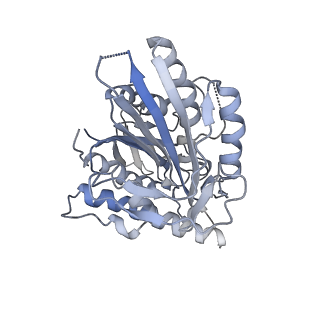 21314_6vpo_C_v1-1
Cryo-EM structure of microtubule-bound KLP61F motor domain in the AMPPNP state