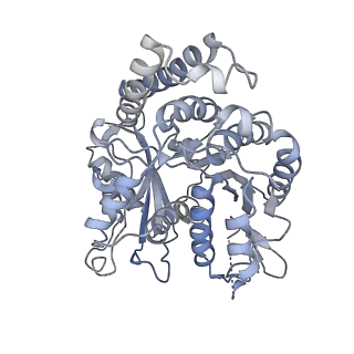 21315_6vpp_A_v1-1
Cryo-EM structure of microtubule-bound KLP61F motor with tail domain in the nucleotide-free state