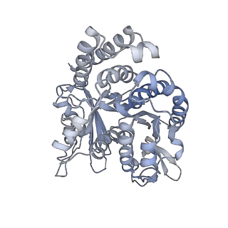 21315_6vpp_B_v1-0
Cryo-EM structure of microtubule-bound KLP61F motor with tail domain in the nucleotide-free state