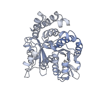 21315_6vpp_B_v1-1
Cryo-EM structure of microtubule-bound KLP61F motor with tail domain in the nucleotide-free state