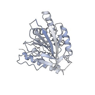 21315_6vpp_C_v1-0
Cryo-EM structure of microtubule-bound KLP61F motor with tail domain in the nucleotide-free state