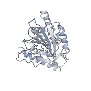 21315_6vpp_C_v1-1
Cryo-EM structure of microtubule-bound KLP61F motor with tail domain in the nucleotide-free state