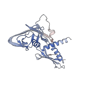 32063_7vpd_A_v1-1
Cryo-EM structure of Streptomyces coelicolor RNAP-promoter open complex with one Zur dimers