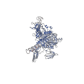 32063_7vpd_D_v1-1
Cryo-EM structure of Streptomyces coelicolor RNAP-promoter open complex with one Zur dimers