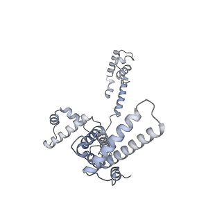 32063_7vpd_F_v1-1
Cryo-EM structure of Streptomyces coelicolor RNAP-promoter open complex with one Zur dimers