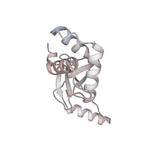 32063_7vpd_M_v1-1
Cryo-EM structure of Streptomyces coelicolor RNAP-promoter open complex with one Zur dimers
