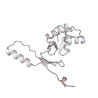 32063_7vpd_N_v1-1
Cryo-EM structure of Streptomyces coelicolor RNAP-promoter open complex with one Zur dimers