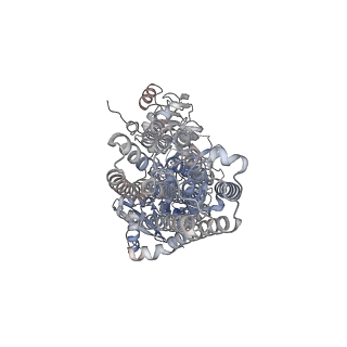 32066_7vpi_A_v1-0
Cryo-EM structure of the human ATP13A2 (E1-ATP state)