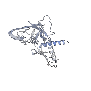 32077_7vpz_A_v1-1
Cryo-EM structure of Streptomyces coelicolor transcription initial complex with one Zur dimer