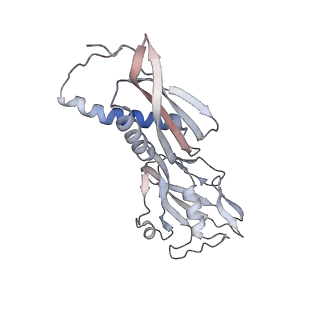 32077_7vpz_B_v1-1
Cryo-EM structure of Streptomyces coelicolor transcription initial complex with one Zur dimer
