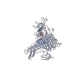 32077_7vpz_D_v1-1
Cryo-EM structure of Streptomyces coelicolor transcription initial complex with one Zur dimer