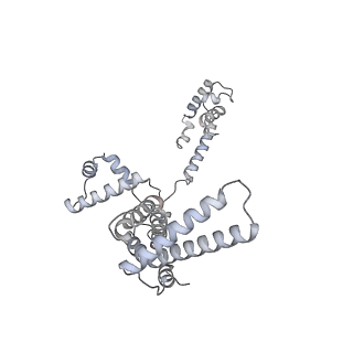 32077_7vpz_F_v1-1
Cryo-EM structure of Streptomyces coelicolor transcription initial complex with one Zur dimer