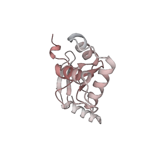 32077_7vpz_M_v1-1
Cryo-EM structure of Streptomyces coelicolor transcription initial complex with one Zur dimer