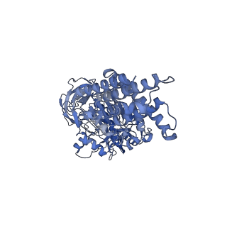 21317_6vq6_A_v1-1
Mammalian V-ATPase from rat brain - composite model of rotational state 1 bound to ADP and SidK (built from focused refinement models)
