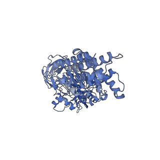 21317_6vq6_A_v1-2
Mammalian V-ATPase from rat brain - composite model of rotational state 1 bound to ADP and SidK (built from focused refinement models)