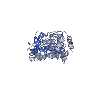 21317_6vq6_B_v1-1
Mammalian V-ATPase from rat brain - composite model of rotational state 1 bound to ADP and SidK (built from focused refinement models)