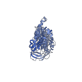 21317_6vq6_C_v1-1
Mammalian V-ATPase from rat brain - composite model of rotational state 1 bound to ADP and SidK (built from focused refinement models)
