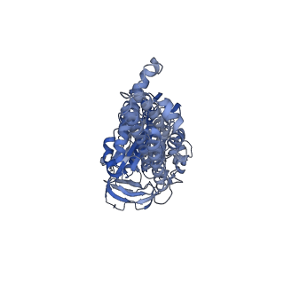 21317_6vq6_C_v1-2
Mammalian V-ATPase from rat brain - composite model of rotational state 1 bound to ADP and SidK (built from focused refinement models)