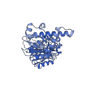 21317_6vq6_D_v1-2
Mammalian V-ATPase from rat brain - composite model of rotational state 1 bound to ADP and SidK (built from focused refinement models)